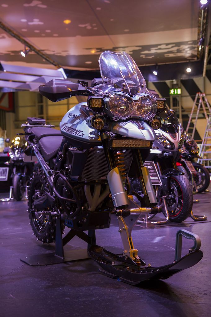 Triumph �������� �������� ��� ������ �������